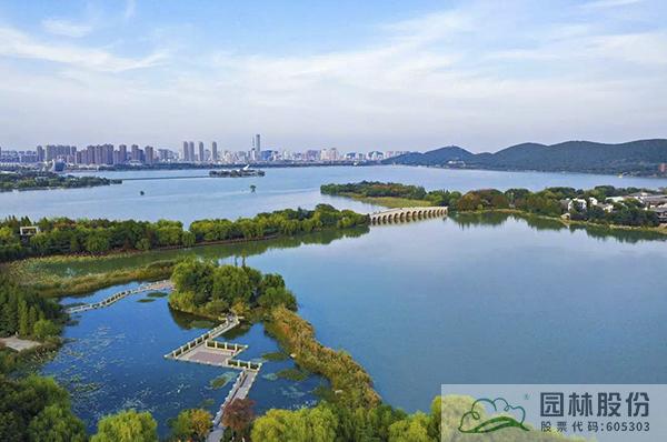 亚洲精品白浆高清久久久久久