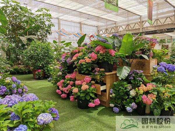 亚洲精品白浆高清久久久久久