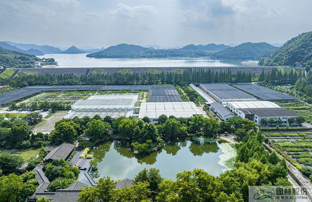 亚洲精品白浆高清久久久久久