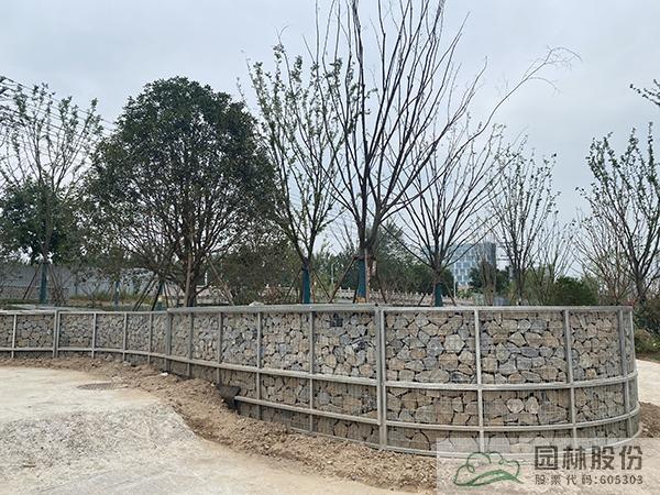 亚洲精品白浆高清久久久久久