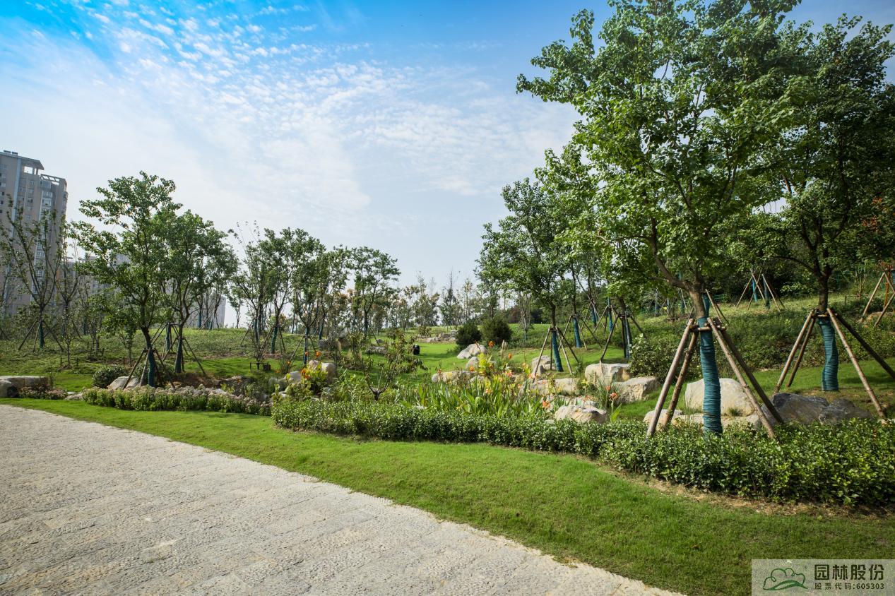 亚洲精品白浆高清久久久久久