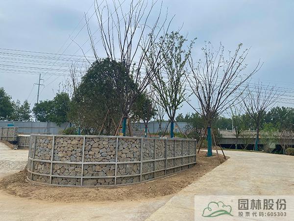 亚洲精品白浆高清久久久久久