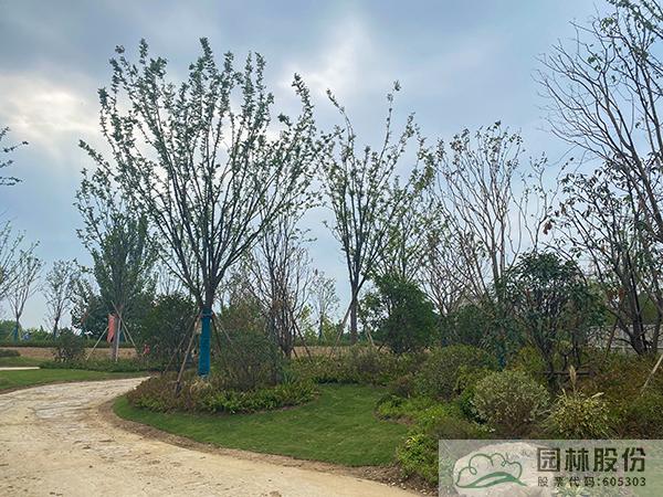 亚洲精品白浆高清久久久久久