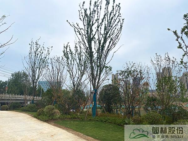 亚洲精品白浆高清久久久久久