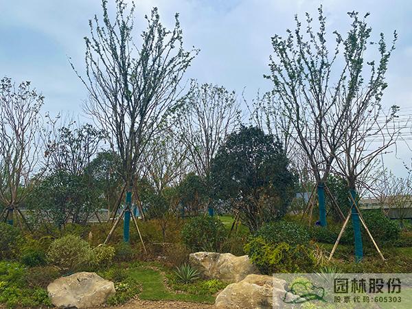 亚洲精品白浆高清久久久久久