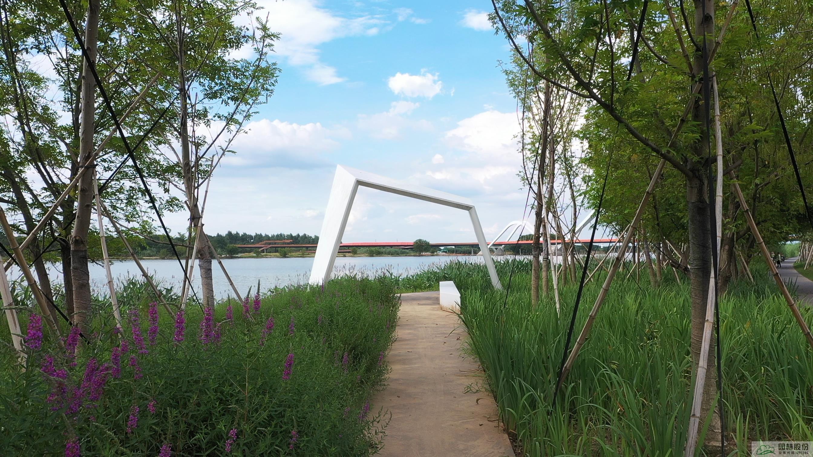 亚洲精品白浆高清久久久久久