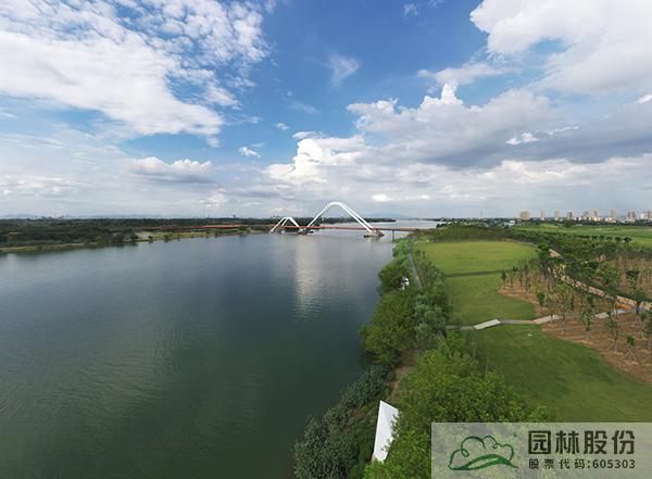 亚洲精品白浆高清久久久久久