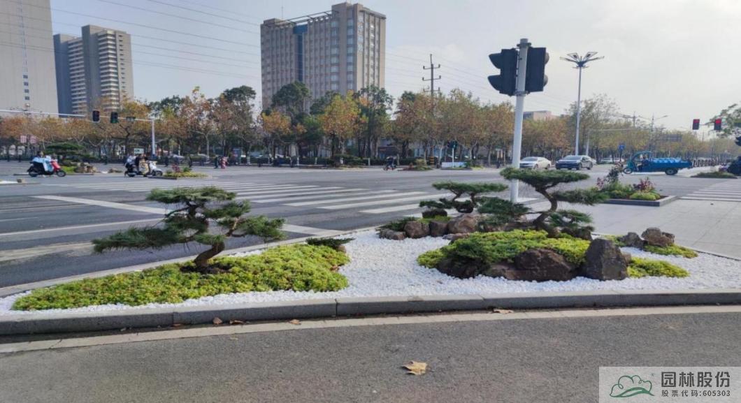 亚洲精品白浆高清久久久久久