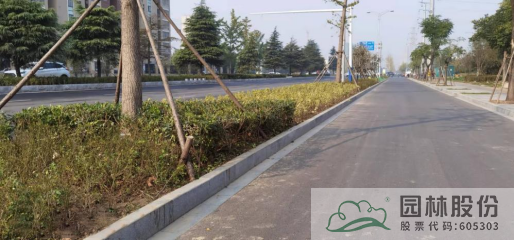 亚洲精品白浆高清久久久久久