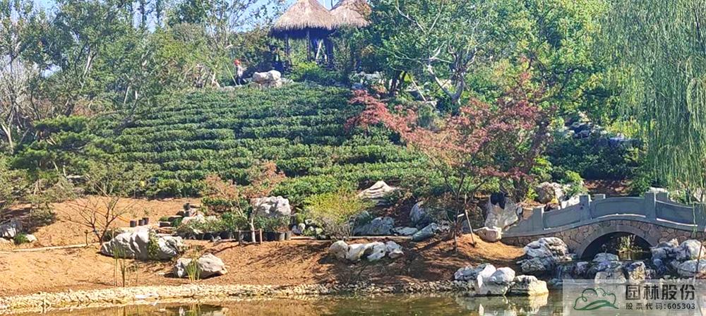 亚洲精品白浆高清久久久久久