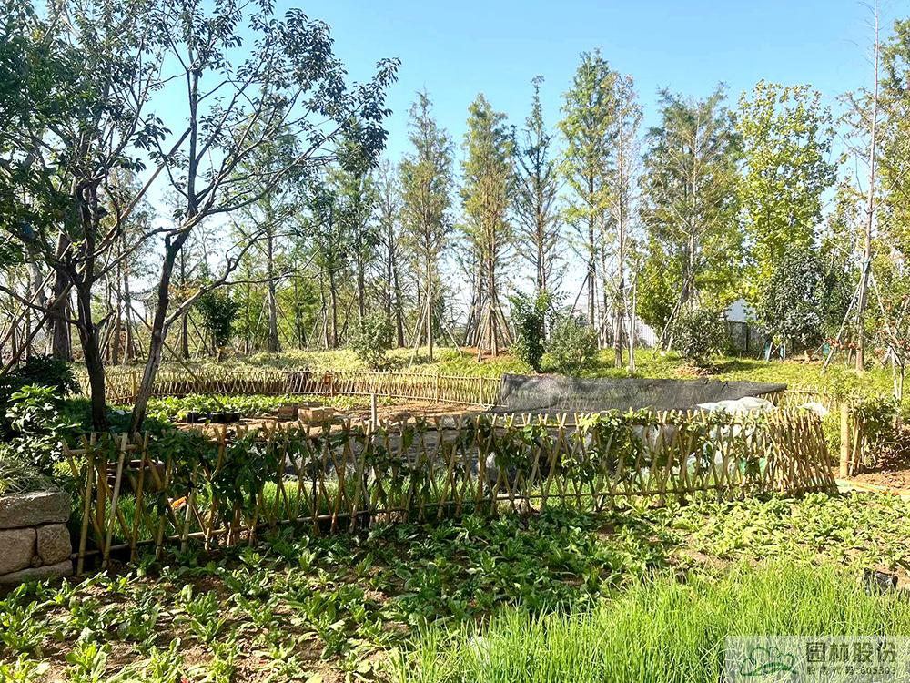 亚洲精品白浆高清久久久久久