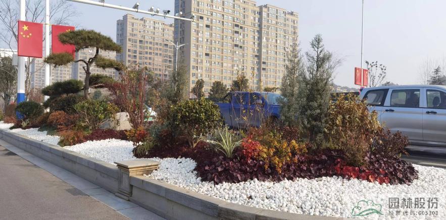 亚洲精品白浆高清久久久久久