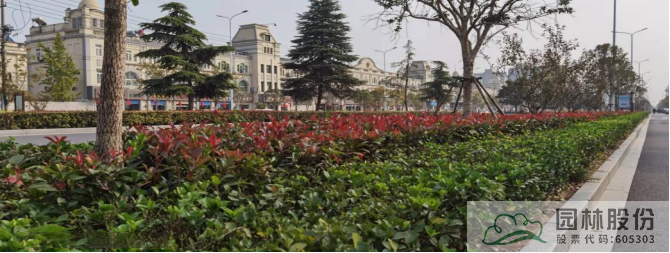 亚洲精品白浆高清久久久久久