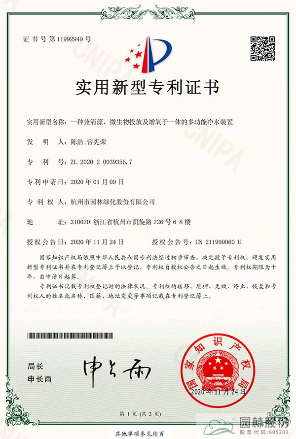 亚洲精品白浆高清久久久久久