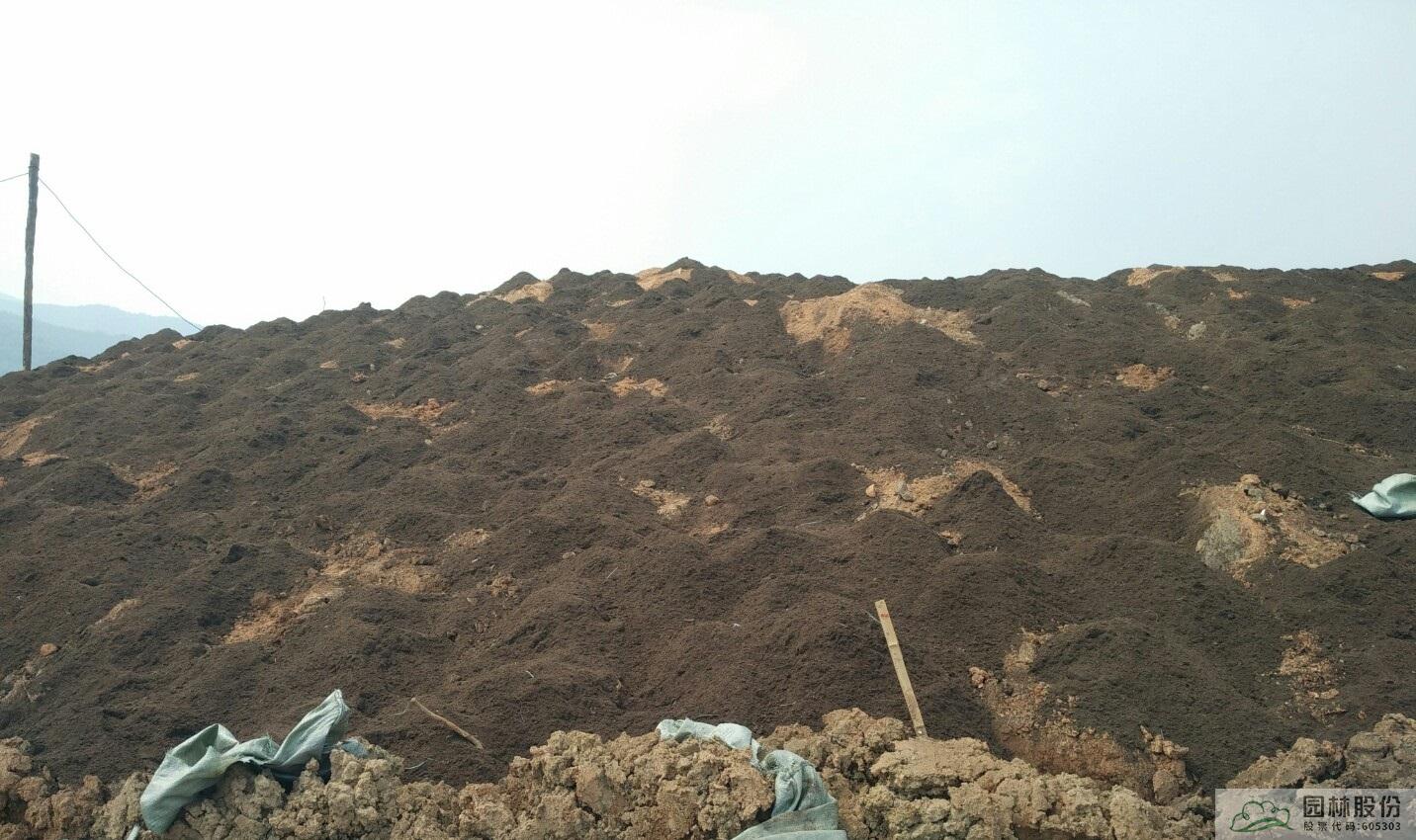 亚洲精品白浆高清久久久久久