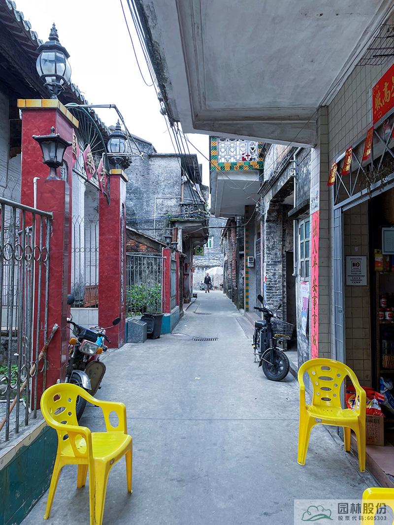 亚洲精品白浆高清久久久久久