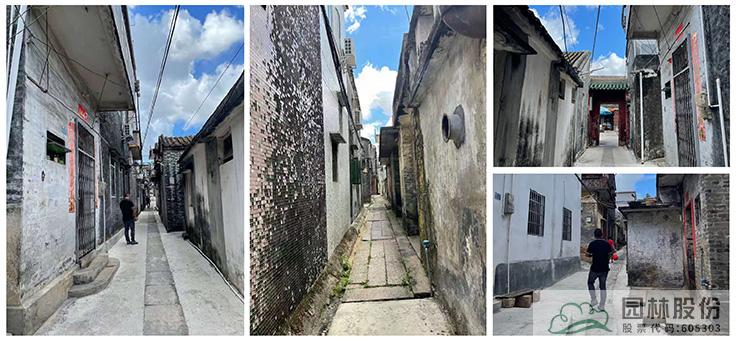 亚洲精品白浆高清久久久久久