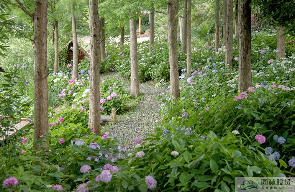 亚洲精品白浆高清久久久久久