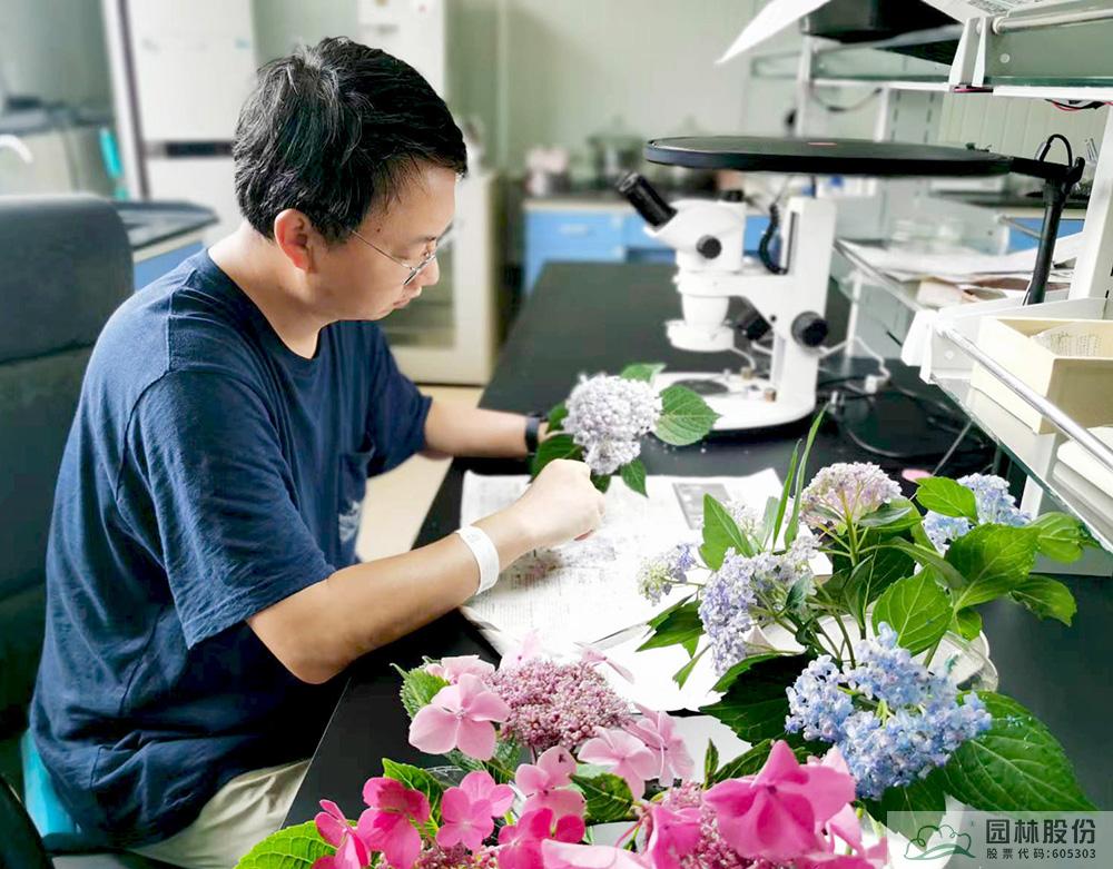 亚洲精品白浆高清久久久久久