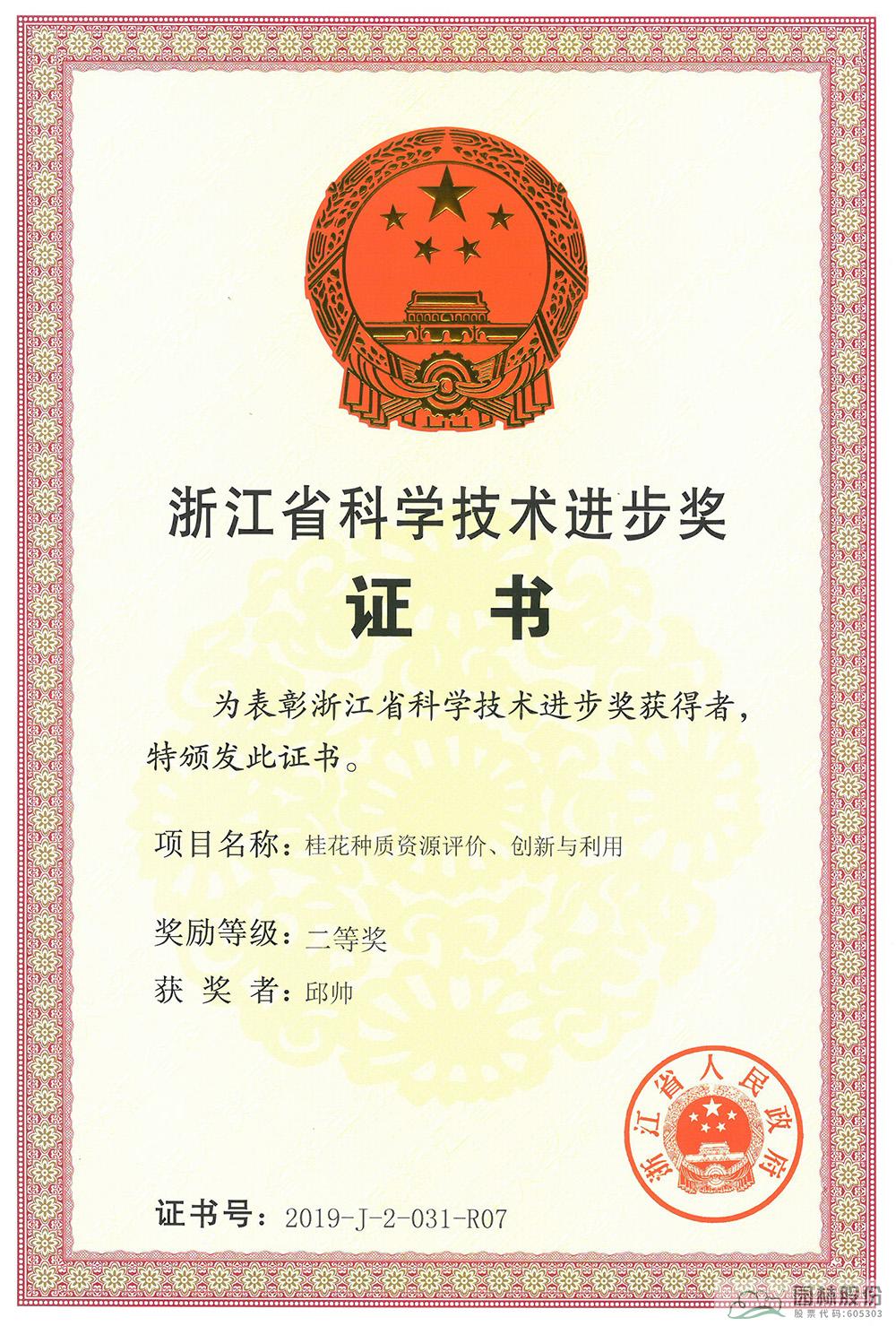 亚洲精品白浆高清久久久久久