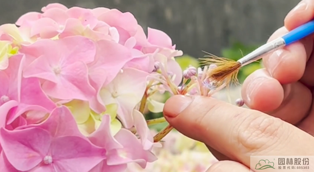 亚洲精品白浆高清久久久久久