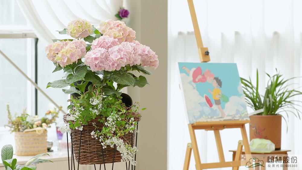 亚洲精品白浆高清久久久久久