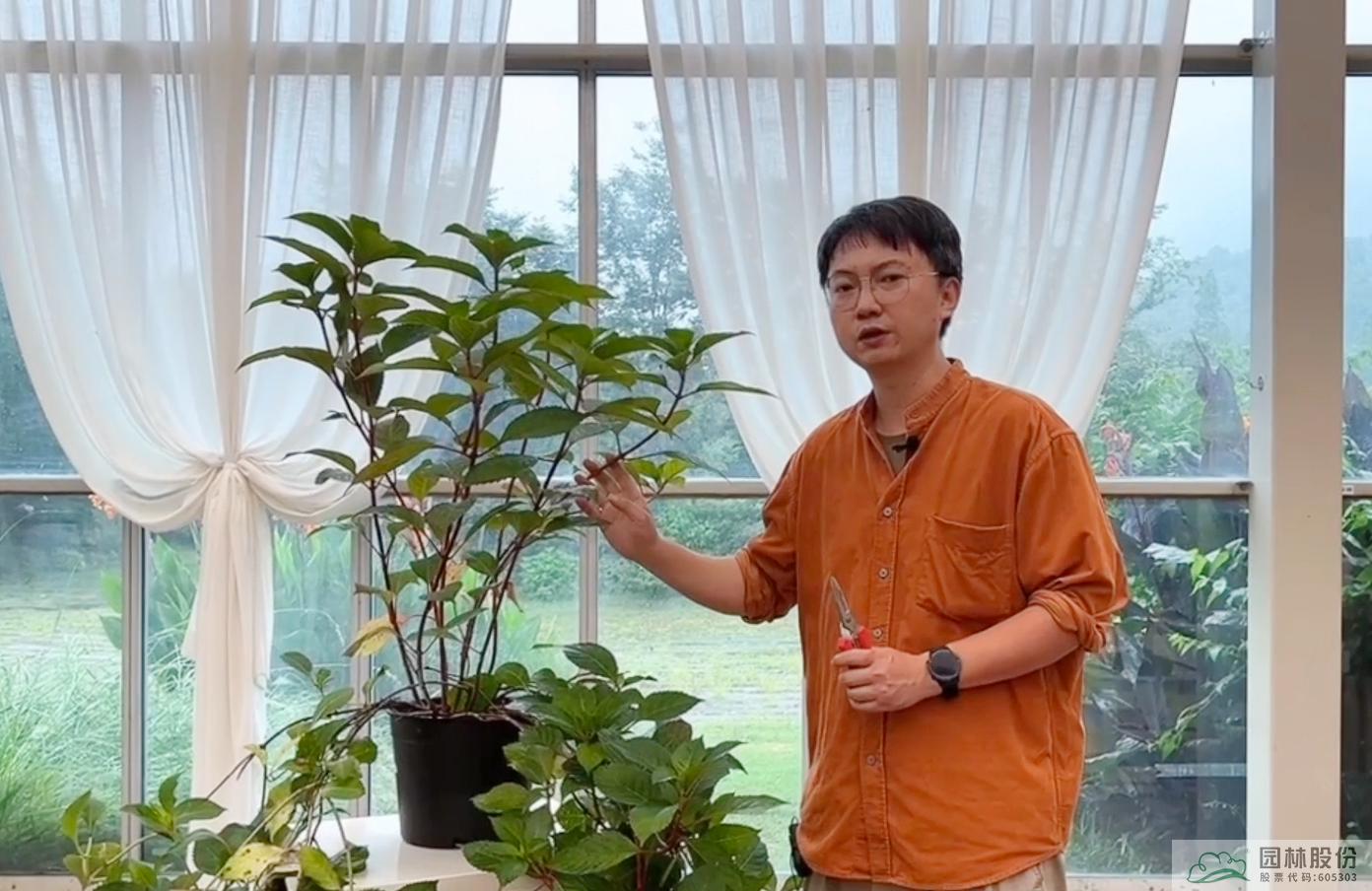 亚洲精品白浆高清久久久久久