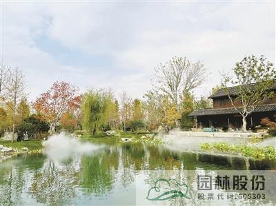 亚洲精品白浆高清久久久久久