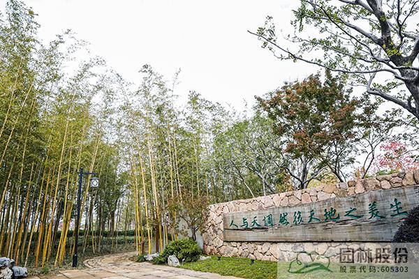 亚洲精品白浆高清久久久久久