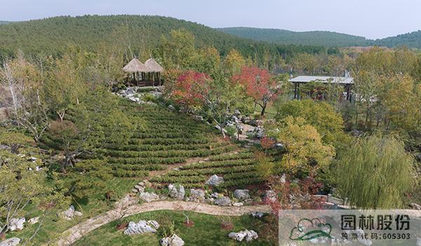 亚洲精品白浆高清久久久久久