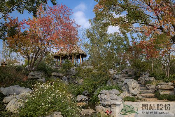 亚洲精品白浆高清久久久久久