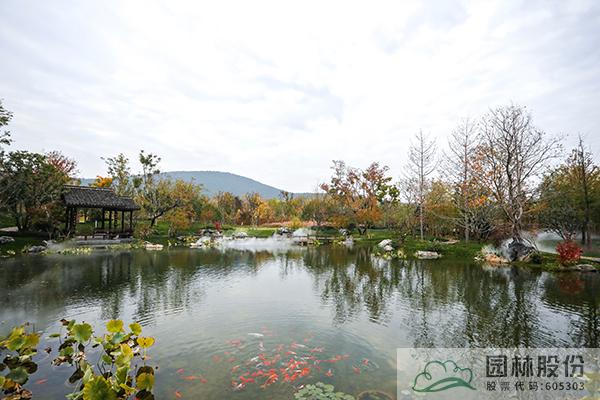 亚洲精品白浆高清久久久久久