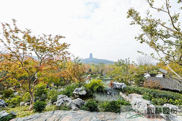 亚洲精品白浆高清久久久久久