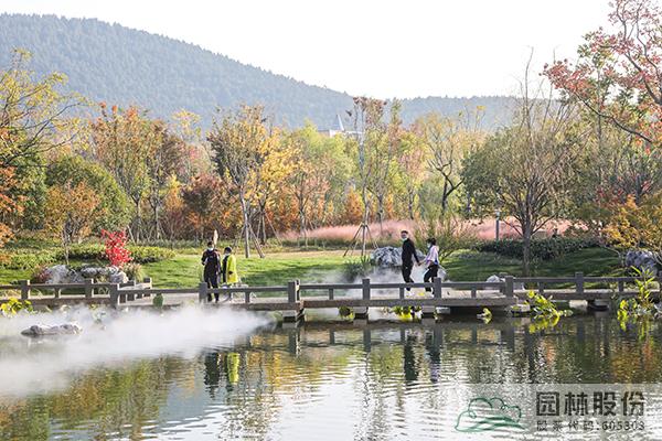 亚洲精品白浆高清久久久久久