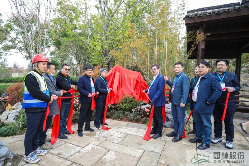 亚洲精品白浆高清久久久久久