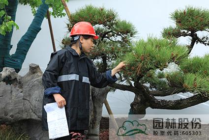 亚洲精品白浆高清久久久久久