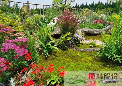 亚洲精品白浆高清久久久久久