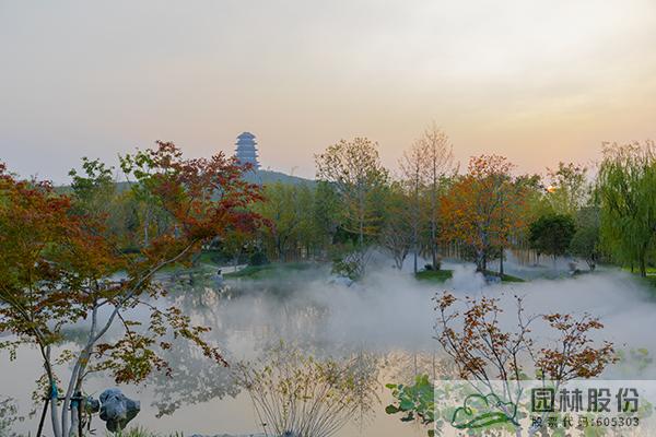 亚洲精品白浆高清久久久久久