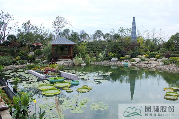 亚洲精品白浆高清久久久久久