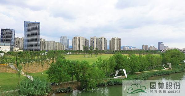 亚洲精品白浆高清久久久久久