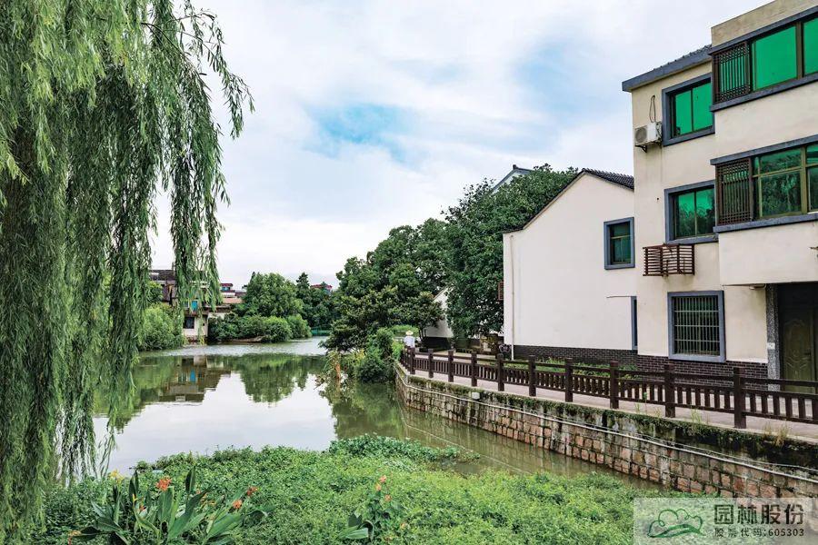 亚洲精品白浆高清久久久久久