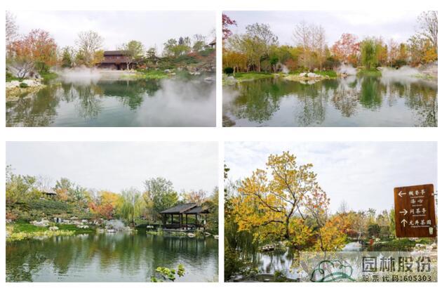 亚洲精品白浆高清久久久久久