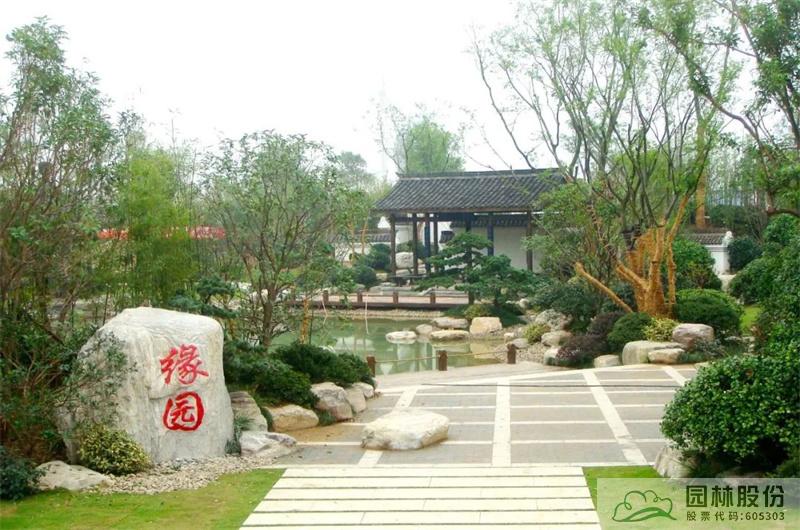 亚洲精品白浆高清久久久久久