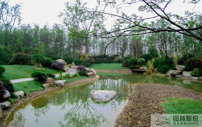 亚洲精品白浆高清久久久久久