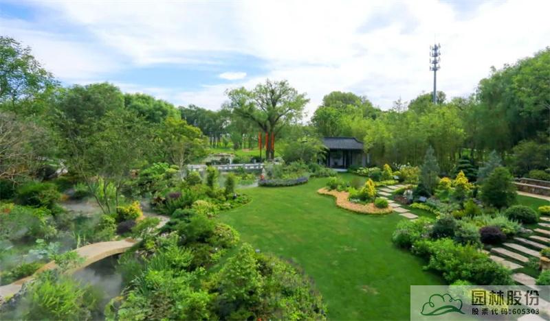 亚洲精品白浆高清久久久久久