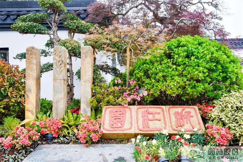 亚洲精品白浆高清久久久久久