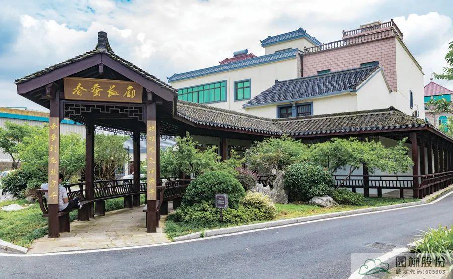 亚洲精品白浆高清久久久久久