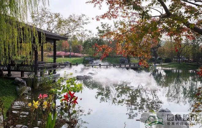 亚洲精品白浆高清久久久久久