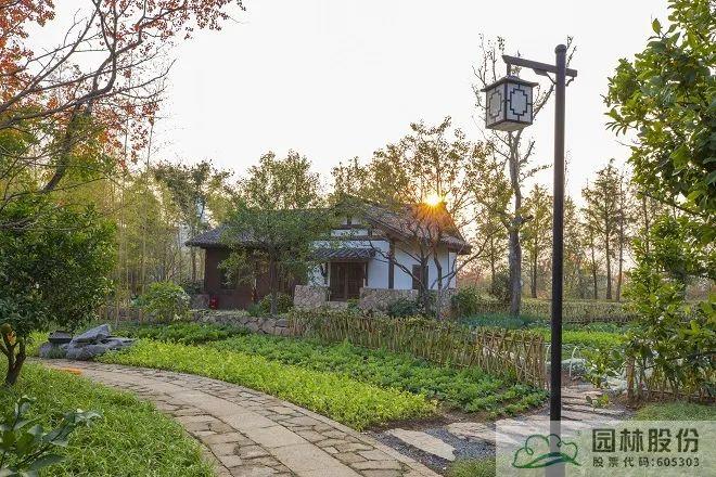 亚洲精品白浆高清久久久久久