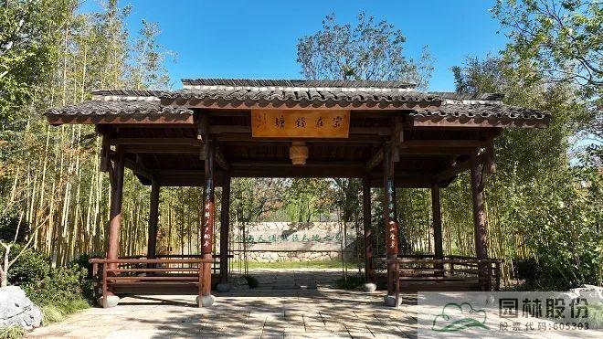 亚洲精品白浆高清久久久久久